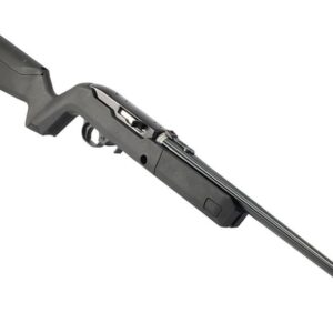 Ruger 10/22 Takedown Backpacker 16.625" TB Blued